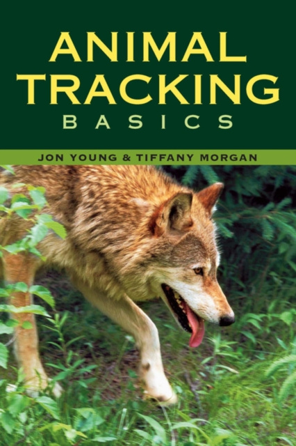 E-book Animal Tracking Basics Tiffany Morgan