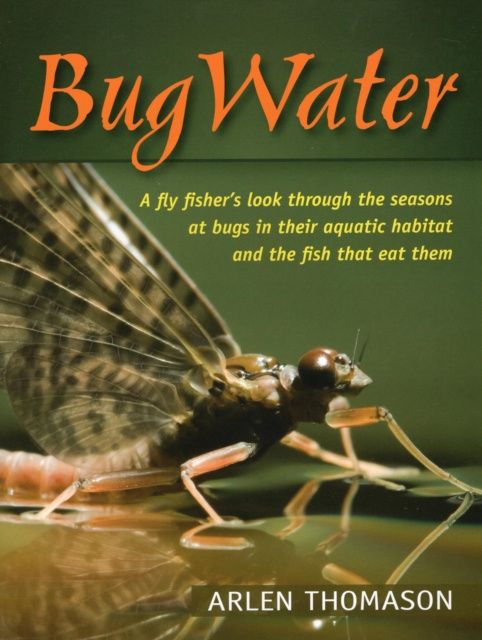 E-book BugWater Arlen Thomason
