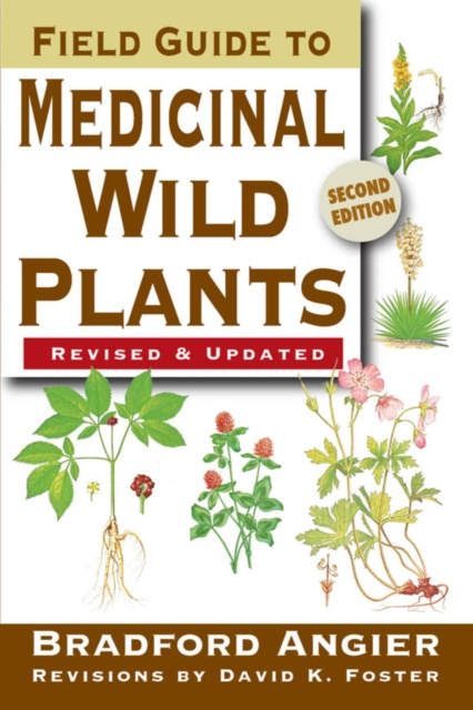 Livre numérique Field Guide to Medicinal Wild Plants Bradford Angier