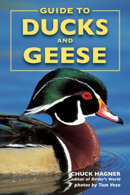 E-knjiga Guide to Ducks and Geese Chuck Hagner