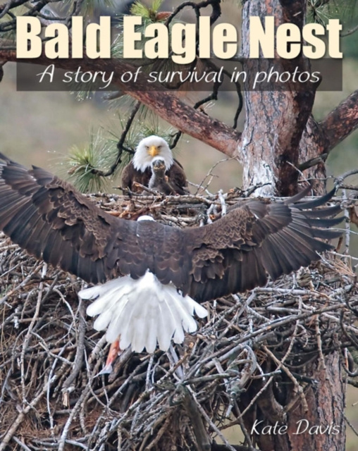 E-könyv Bald Eagle Nest Kate Davis