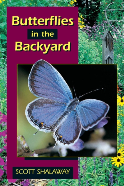 E-knjiga Butterflies in the Backyard Scott Shalaway