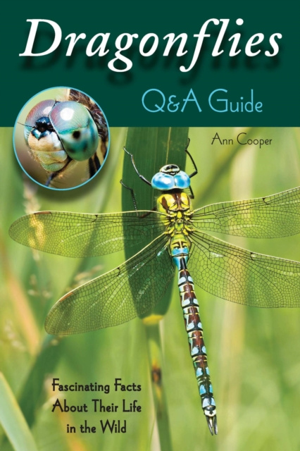E-knjiga Dragonflies: Q&A Guide Ann Cooper