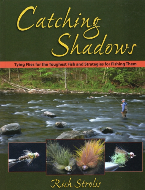 E-book Catching Shadows Rich Strolis