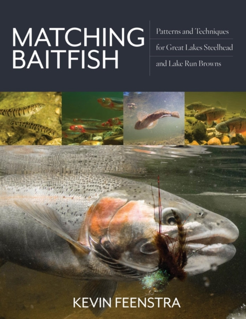 E-book Matching Baitfish Kevin Feenstra