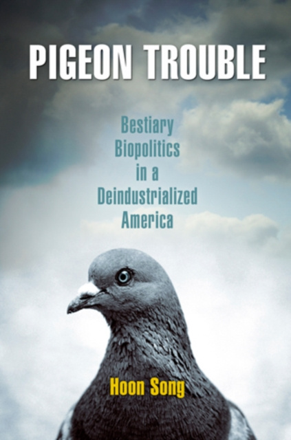 E-book Pigeon Trouble Hoon Song