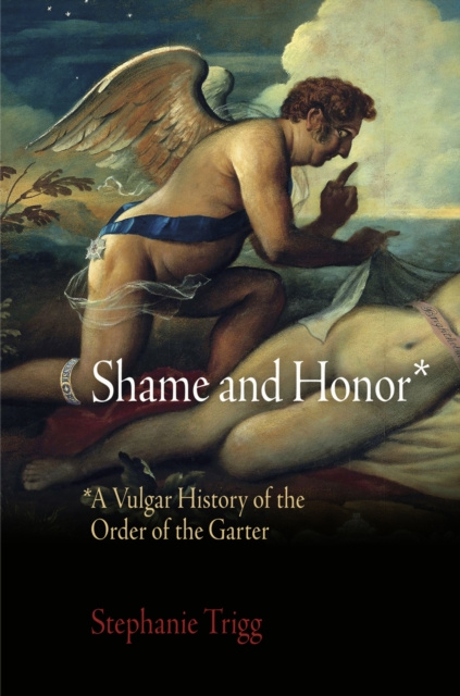 E-book Shame and Honor Stephanie Trigg