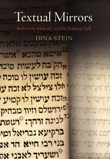 E-book Textual Mirrors Dina Stein