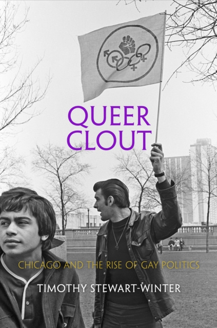 E-book Queer Clout Timothy Stewart-Winter