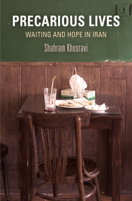 E-book Precarious Lives Shahram Khosravi