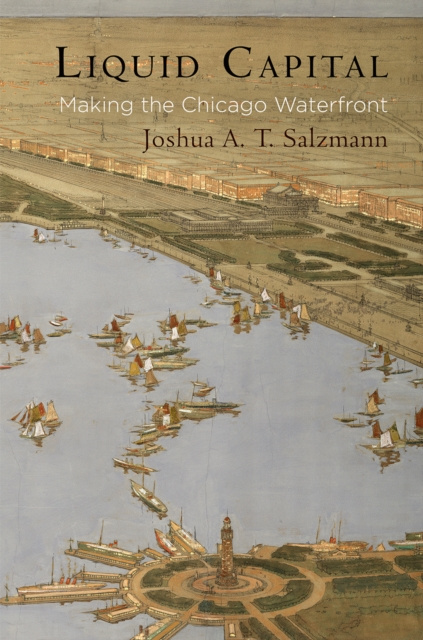 E-book Liquid Capital Joshua A. T. Salzmann