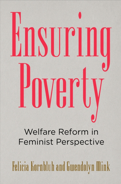 E-knjiga Ensuring Poverty Felicia Kornbluh