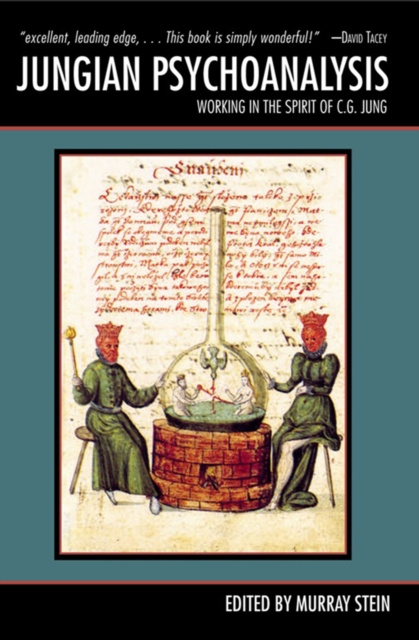 E-knjiga Jungian Psychoanalysis Murray Stein