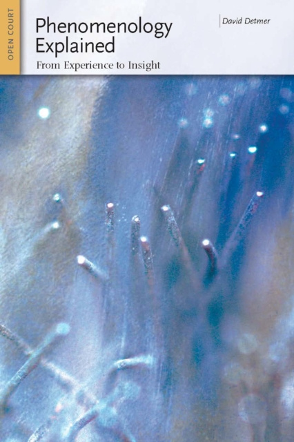 E-book Phenomenology Explained David Detmer