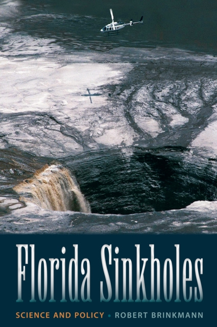 E-kniha Florida Sinkholes Robert Brinkmann