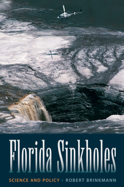 E-Book Florida Sinkholes Robert Brinkmann