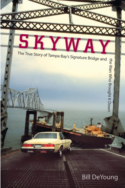 E-book Skyway Bill DeYoung