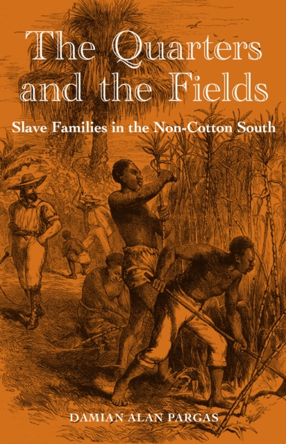 E-book Quarters and the Fields Damian Alan Pargas