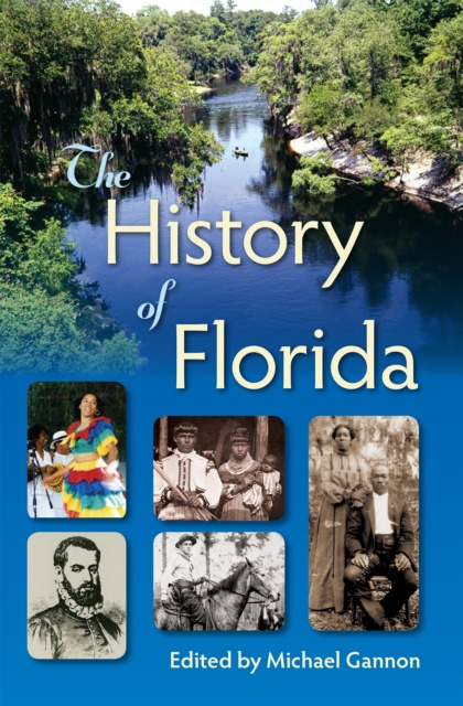 E-kniha History of Florida Michael Gannon