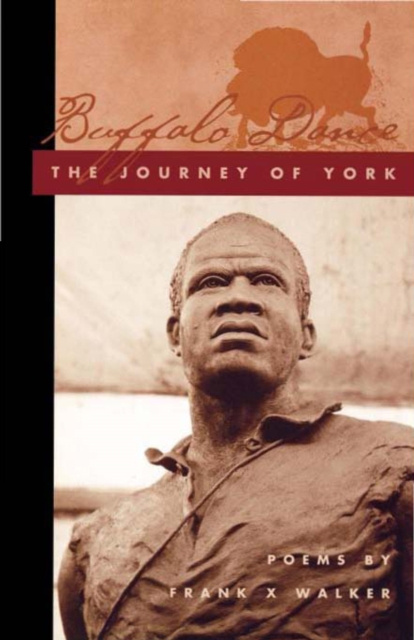 E-kniha Buffalo Dance Frank X Walker