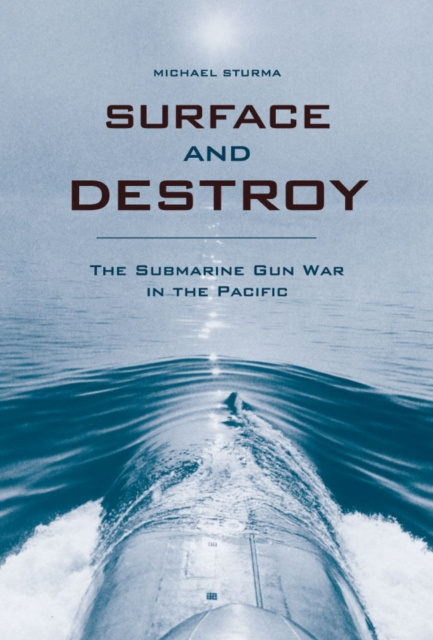 E-knjiga Surface and Destroy Michael Sturma
