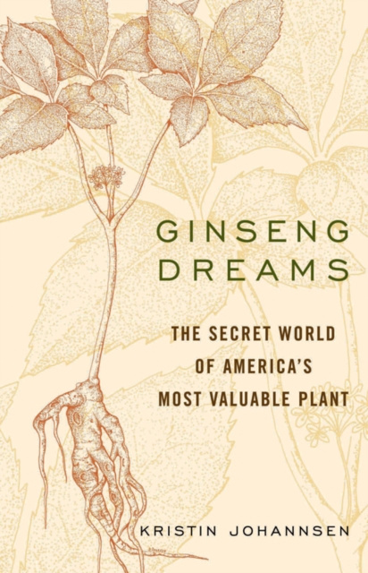 E-Book Ginseng Dreams Kristin Johannsen