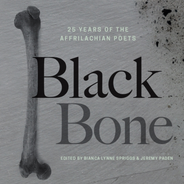 E-knjiga Black Bone Bianca Lynne Spriggs