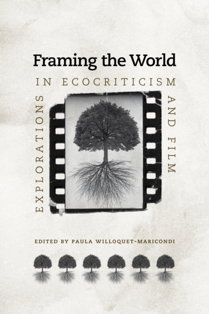 E-knjiga Framing the World Paula Willoquet-Maricondi