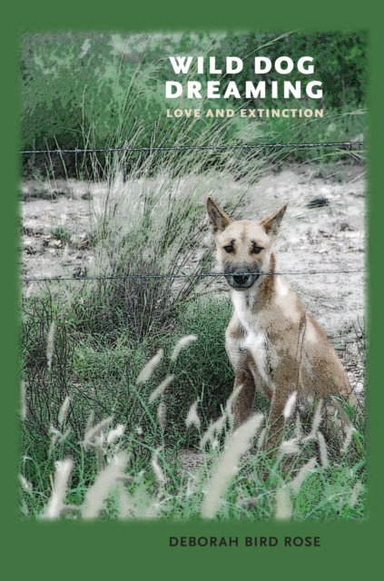 E-book Wild Dog Dreaming Deborah Bird Rose