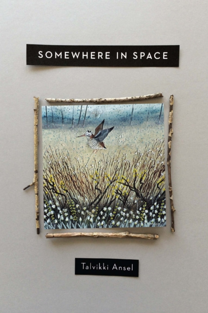 E-knjiga Somewhere in Space Ansel Talvikki Ansel