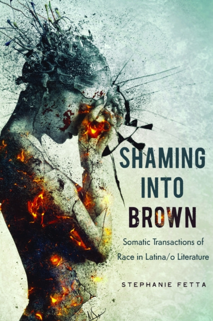 Libro elettronico Shaming into Brown Fetta Stephanie Fetta