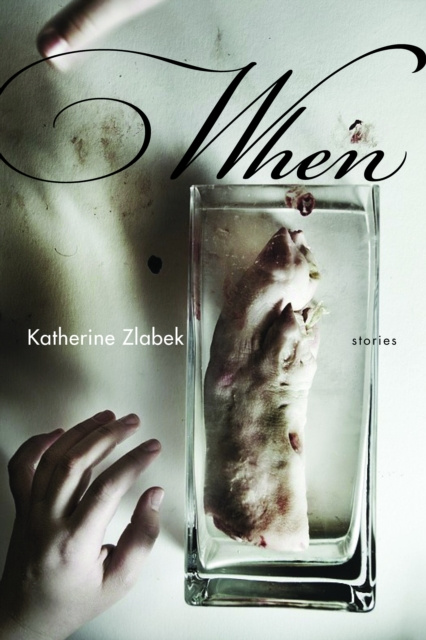 E-knjiga When Zlabek Katherine Zlabek