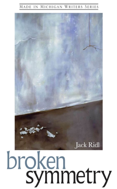 E-book Broken Symmetry Jack Ridl