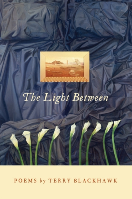 E-Book Light Between Terry Blackhawk