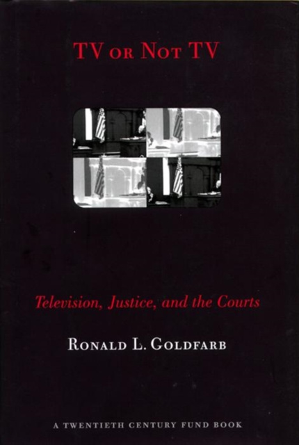 E-book TV or Not TV Goldfarb