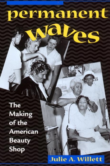 E-knjiga Permanent Waves Willett