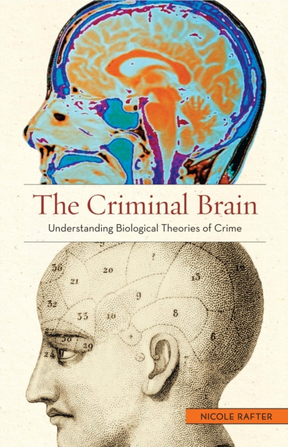 E-book Criminal Brain Rafter