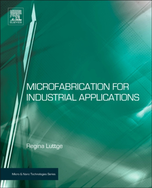 E-knjiga Microfabrication for Industrial Applications Regina Luttge