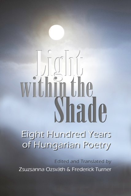 E-book Light within the Shade Zsuzsanna Ozsvath