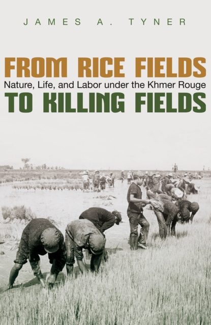 E-Book From Rice Fields to Killing Fields James A. Tyner