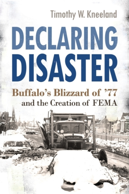 E-knjiga Declaring Disaster Timothy W. Kneeland