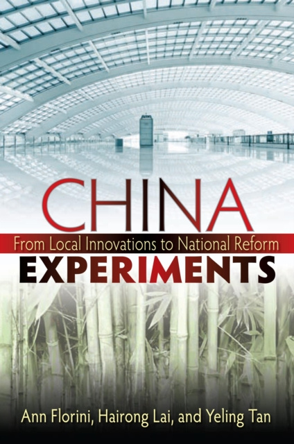 E-knjiga China Experiments Ann M. Florini