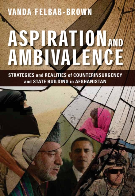E-kniha Aspiration and Ambivalence Vanda Felbab-Brown