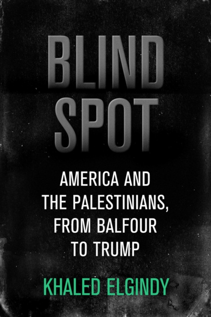 E-Book Blind Spot Khaled Elgindy