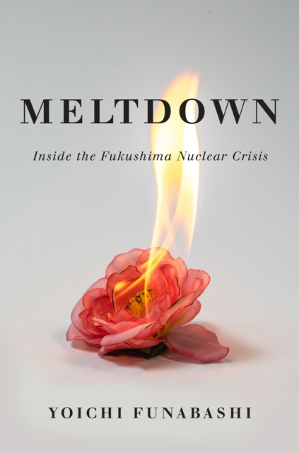 E-book Meltdown Yoichi Funabashi