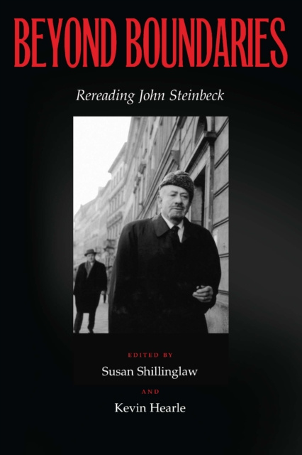 E-book Beyond Boundaries Shillinglaw Susan Shillinglaw