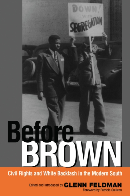 E-knjiga Before Brown Feldman Glenn Feldman