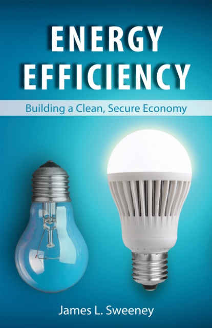 E-book Energy Efficiency James L. Sweeney