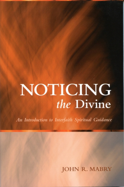 E-kniha Noticing the Divine John R. Mabry