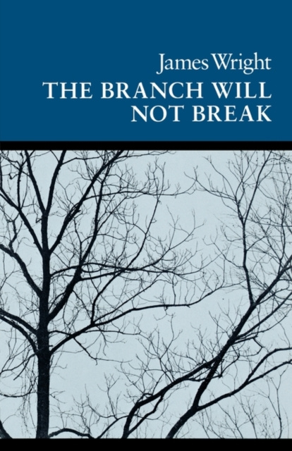 E-kniha Branch Will Not Break James Wright